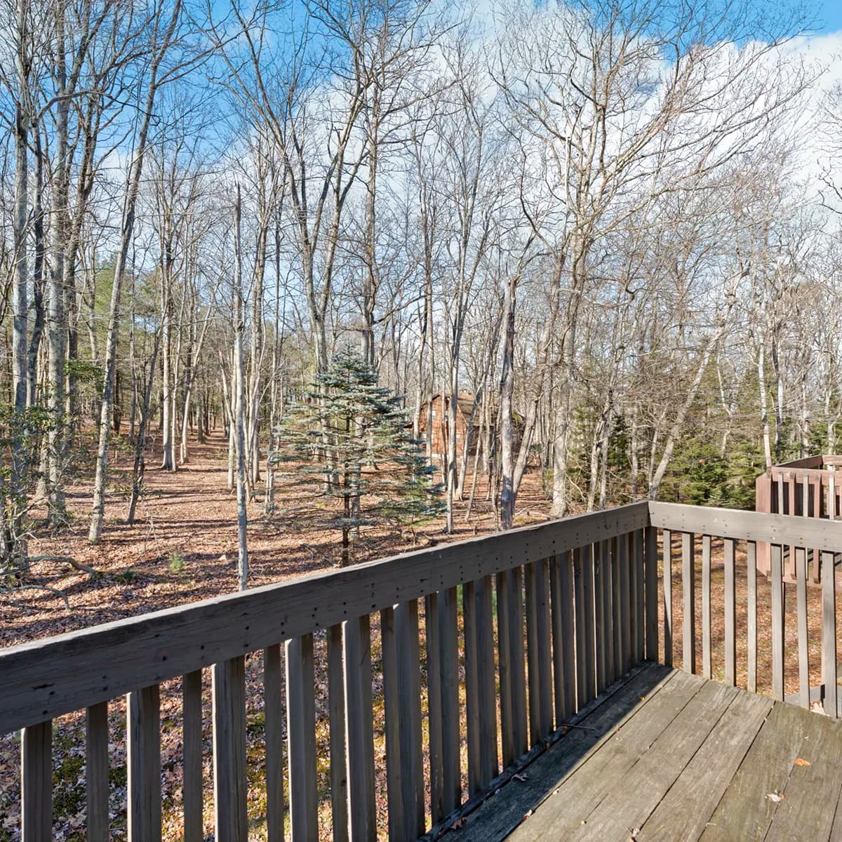 Aerial view of a large lake bordered by expansive forest, with rolling hills and soft cloud cover on the horizon.